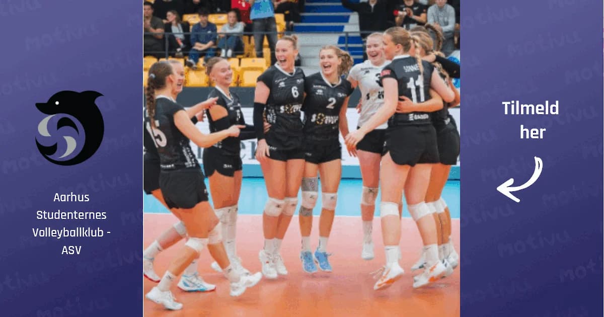 Aarhus Try Out Volleyball