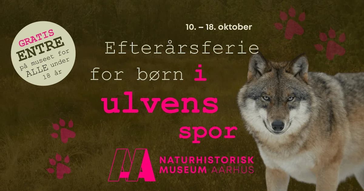 Autumn Holiday in the Wolf's Footsteps