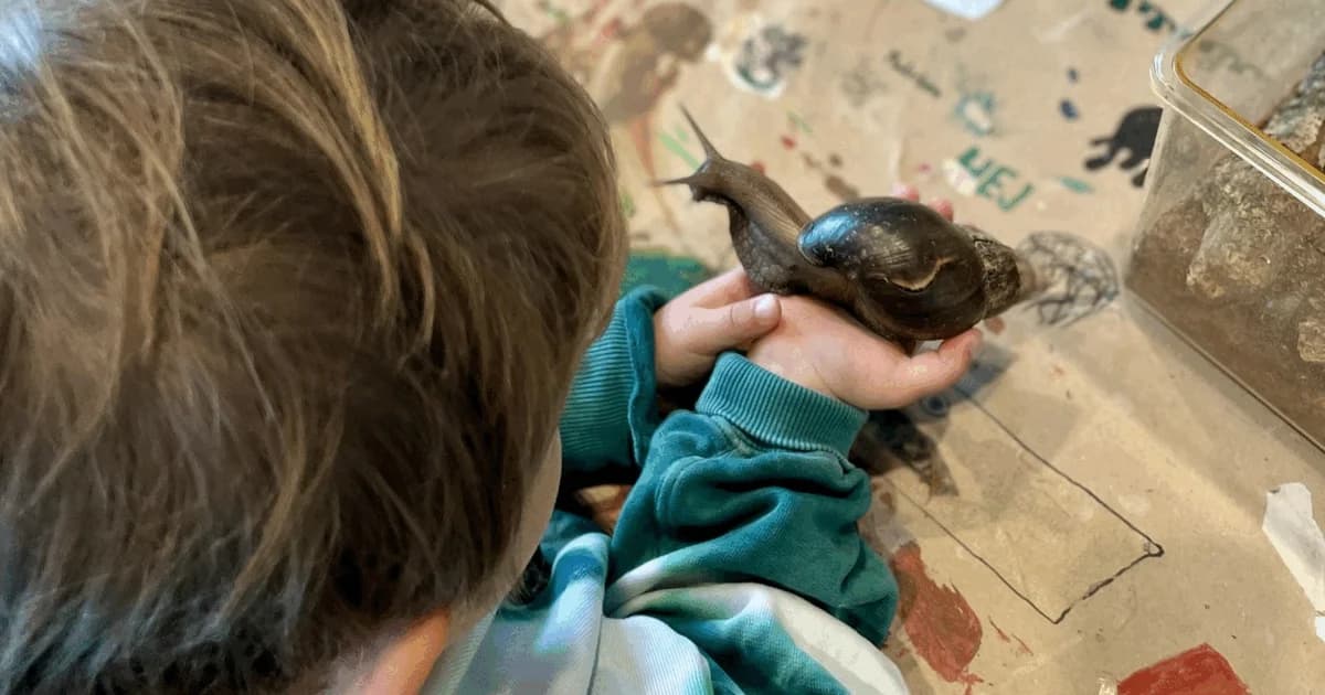 Møde med fascinerende dyr fra Naturens Børn