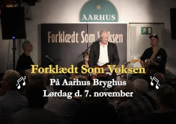 Disguised as an Adult at Aarhus Bryghus