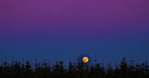 Fuldmåneaften i Planetariet