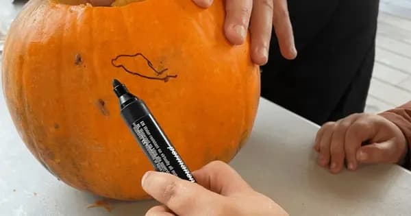 Autumn Workshop at Thursday Workshop
