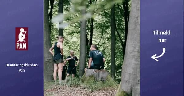 Introduction to Orienteering