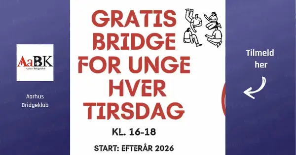 Ungdomsbridge