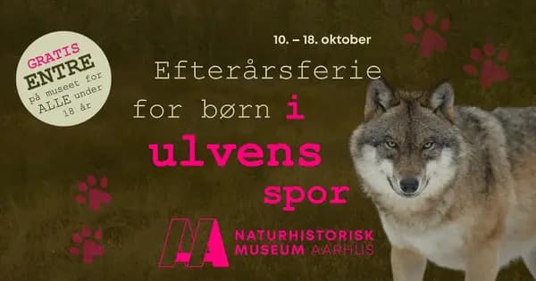 Autumn Holiday in the Wolf's Footsteps