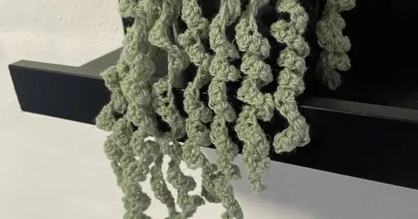 The Workshop – Crocheted Plants