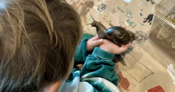 Møde med fascinerende dyr fra Naturens Børn