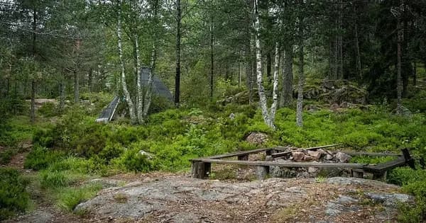 When Reality Changes - Meet Rasmus Kragh from Alone in the Wilderness