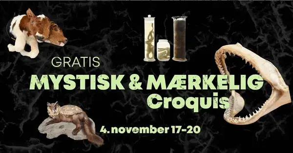 Mystisk og mærkelig croquis