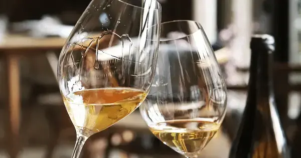 Vinsmagning med Librandi