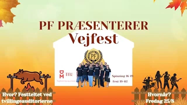 Vejfest x pattegris