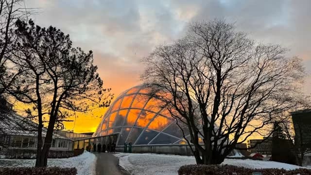Christmas in the Greenhouses
