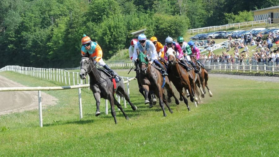 Merchant Herman Salling Memorial Race