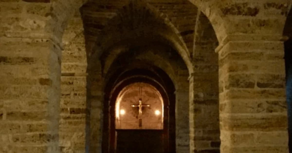 Vikings in Aarhus – Guided City Walk