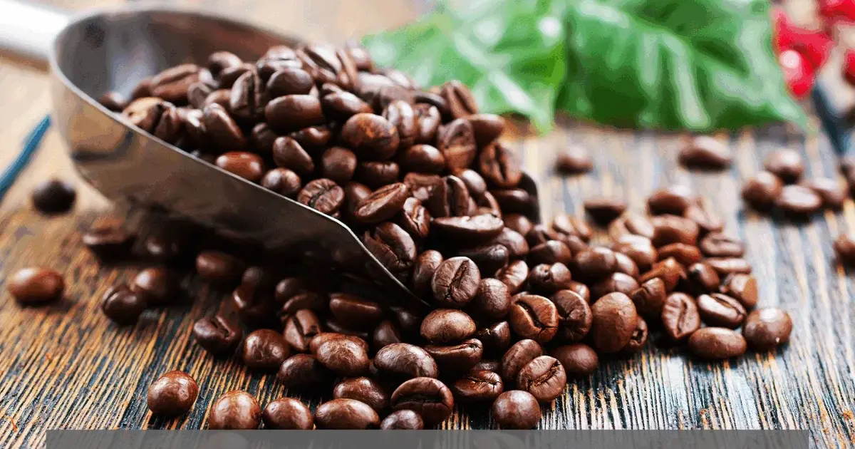 Kaffe – livestream fra Aarhus Universitet