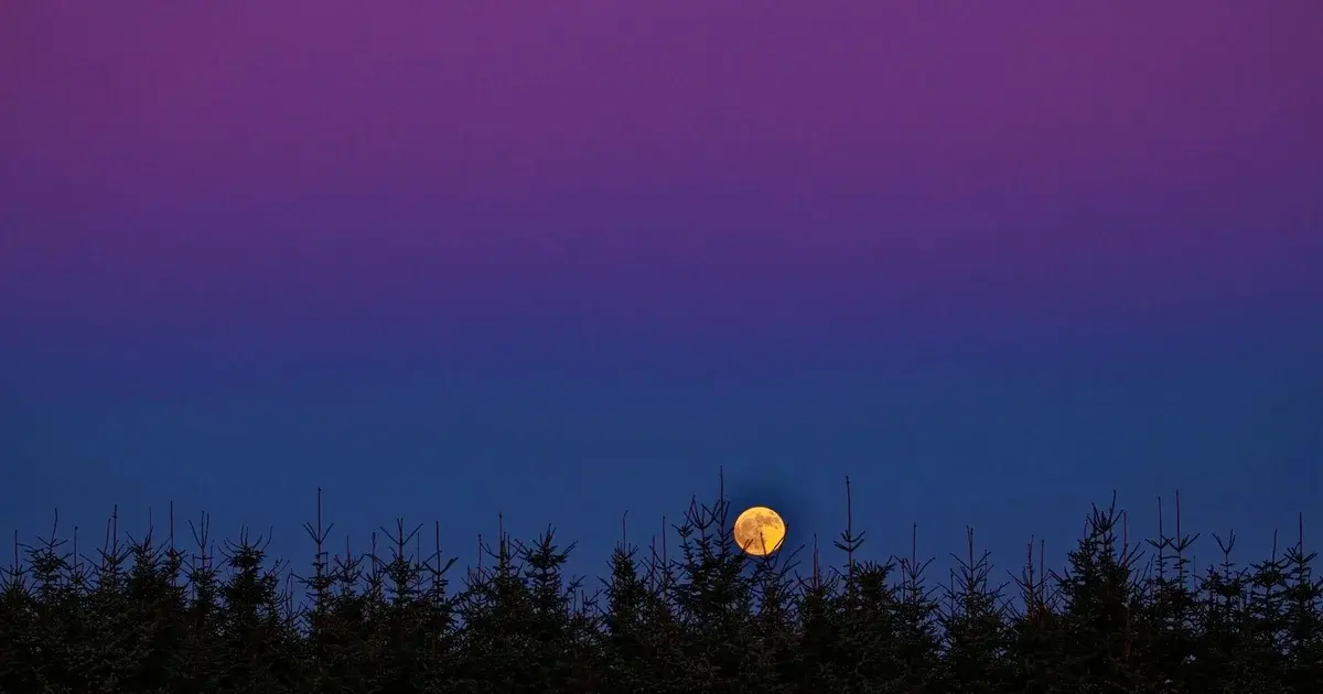 Full Moon Evening at the Planetarium