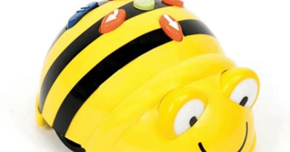 Play and Learn with BeeBots for 1st Graders