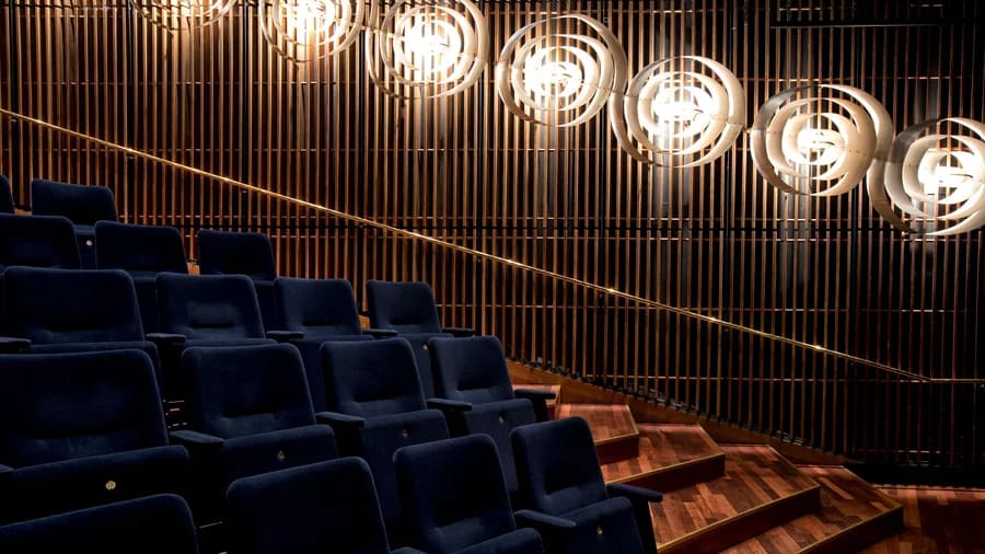 Guided Tour of Aarhus Theatre