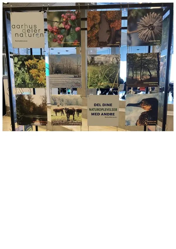 Aarhus Shares Nature