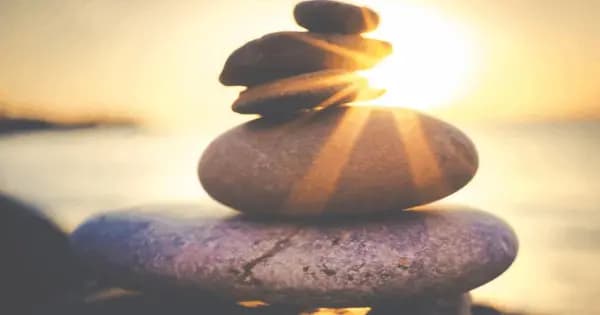 Workshop: Mindfulness and Meditation (3:30 PM–4:30 PM)