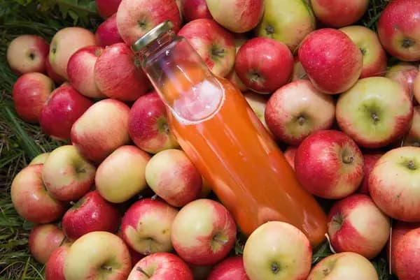 Apple Pressing in the Library Garden