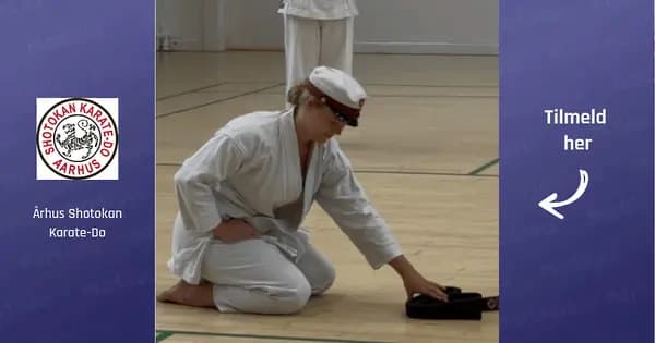 Introduction to Karate