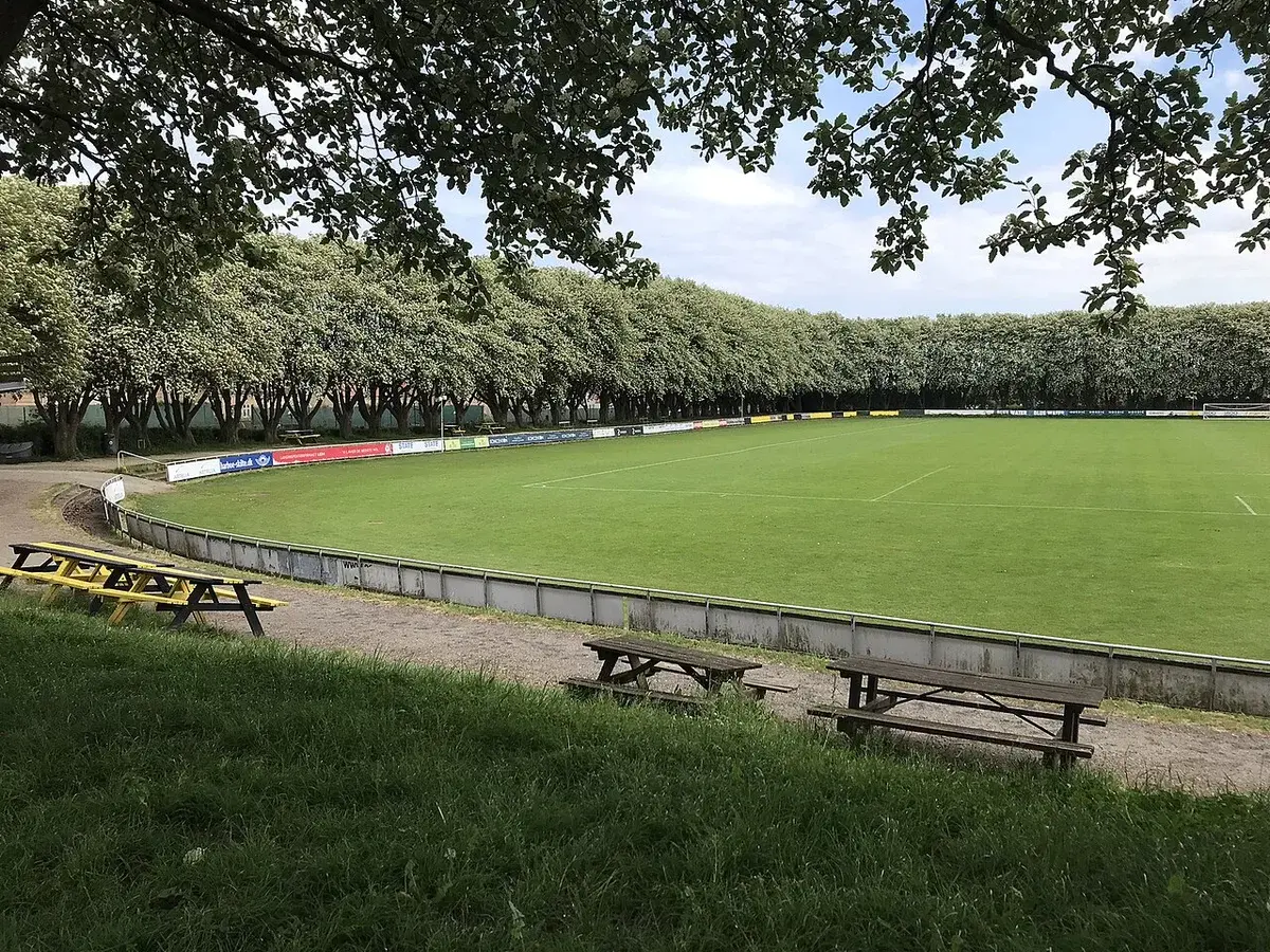 Wide view of a football stadium pitch surrounded by trees and picnic tables.