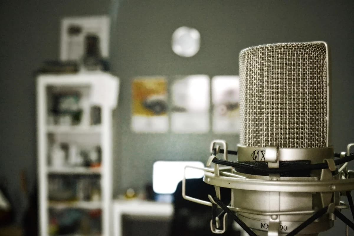 Close-up of a studio microphone in a room.