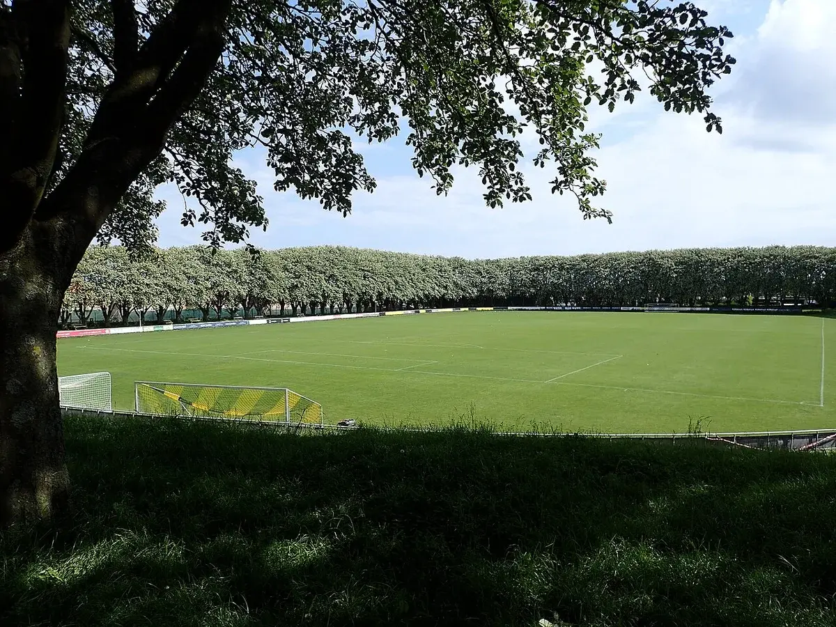 Wide view of a football stadium with a green pitch and trees around it.