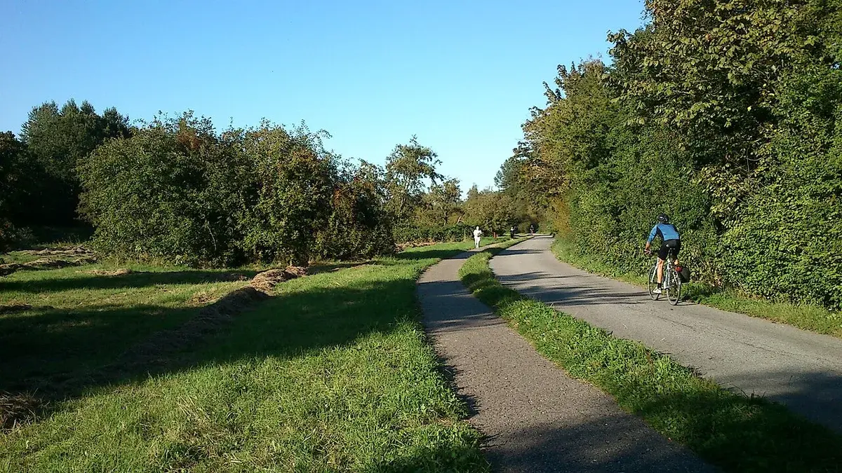 A cyclist on a green paved trail lined with trees and grass.