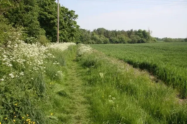 Arable field - geograph.org.uk - 817440.jpg