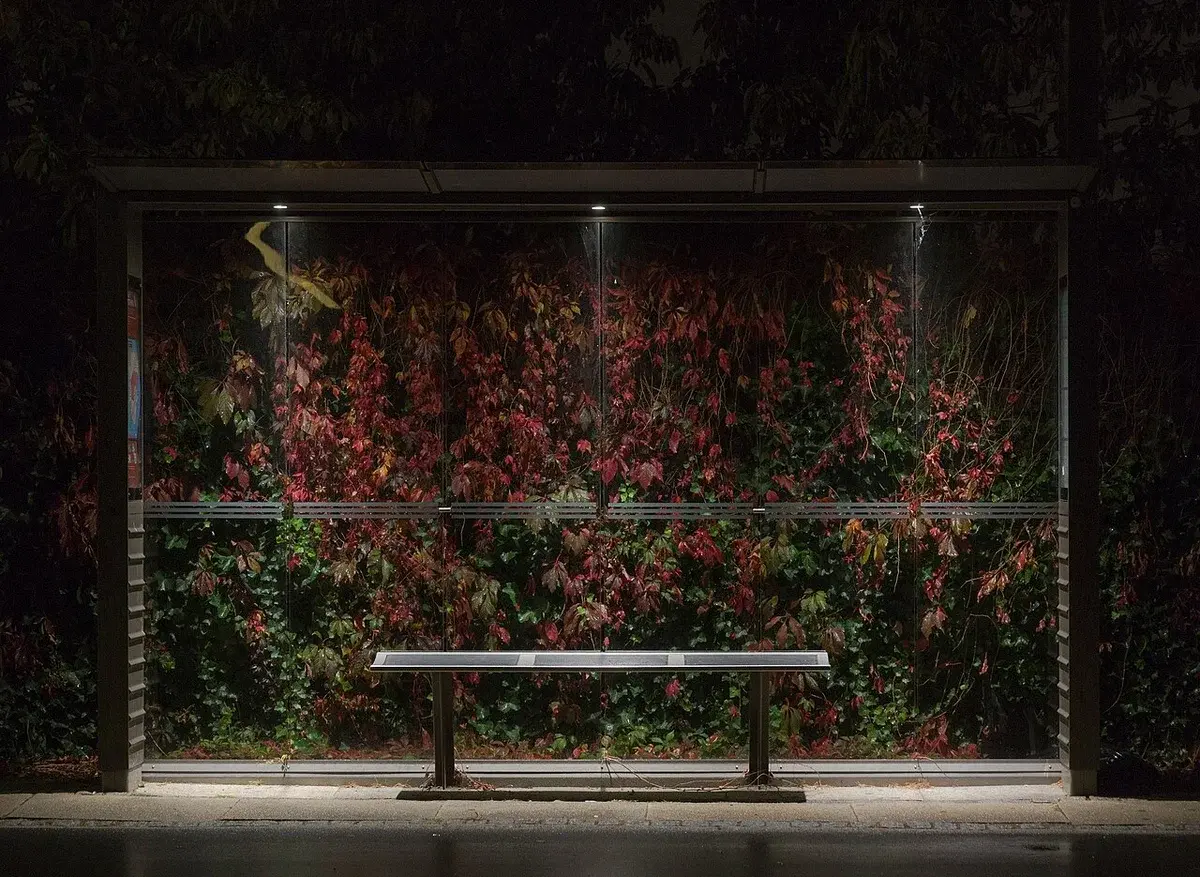 A rainy night view of an empty bus shelter with foliage behind the glass.